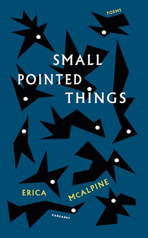 Image for Small Pointed Things