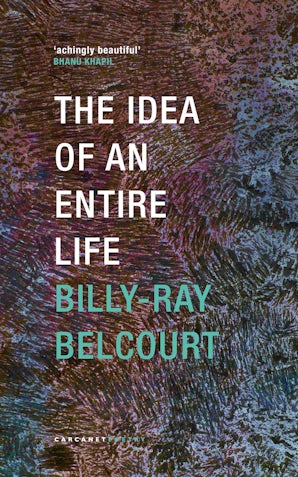 Image for The Idea of an Entire Life